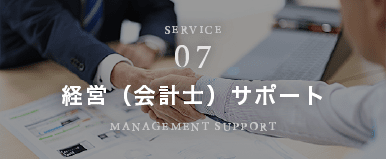 経営（会計士）サポート